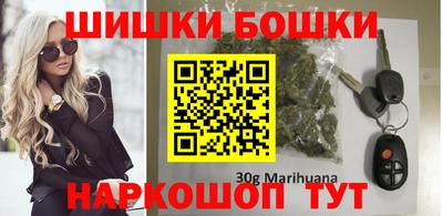 крисы Новозыбков