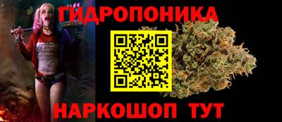 крисы Новозыбков